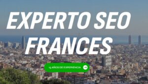 experto SEO barcelona